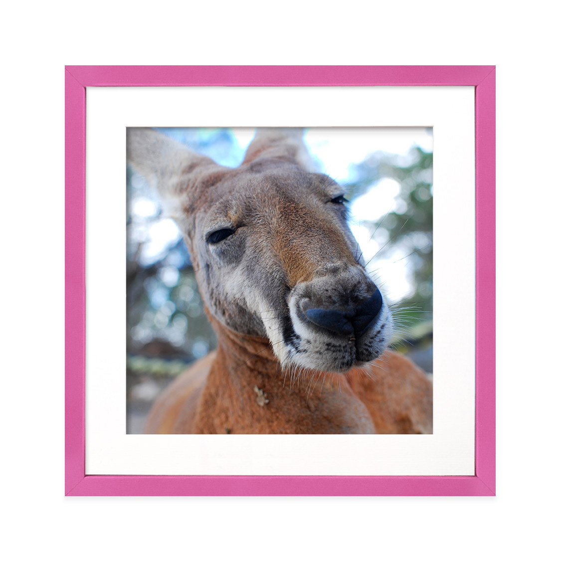 fresco frame - hot pink
