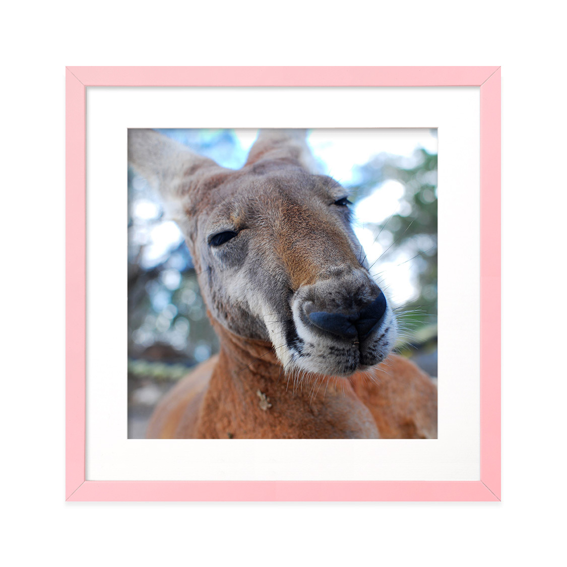 fresco frame - pink