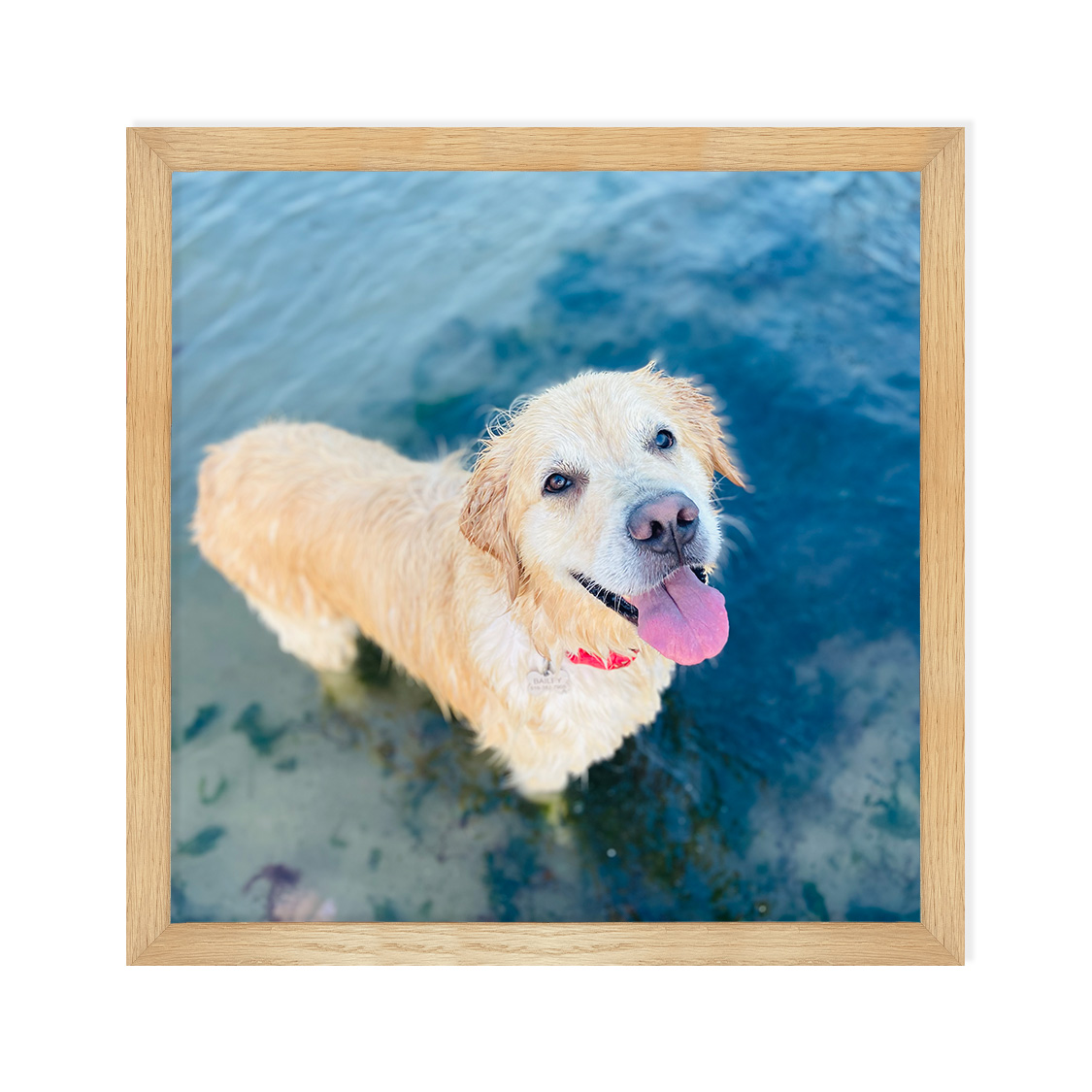 oslo frame - oak