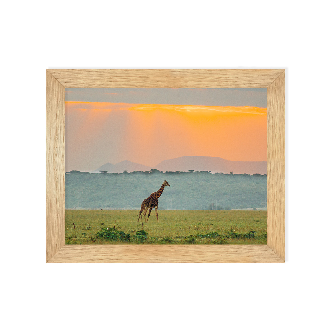 wander frame - oak