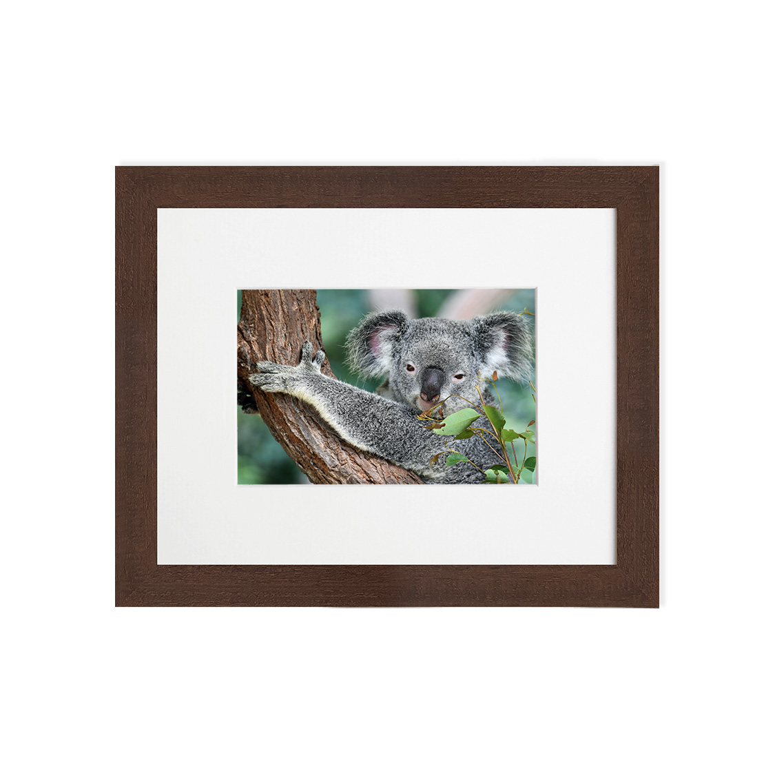 willow frame - dark brown