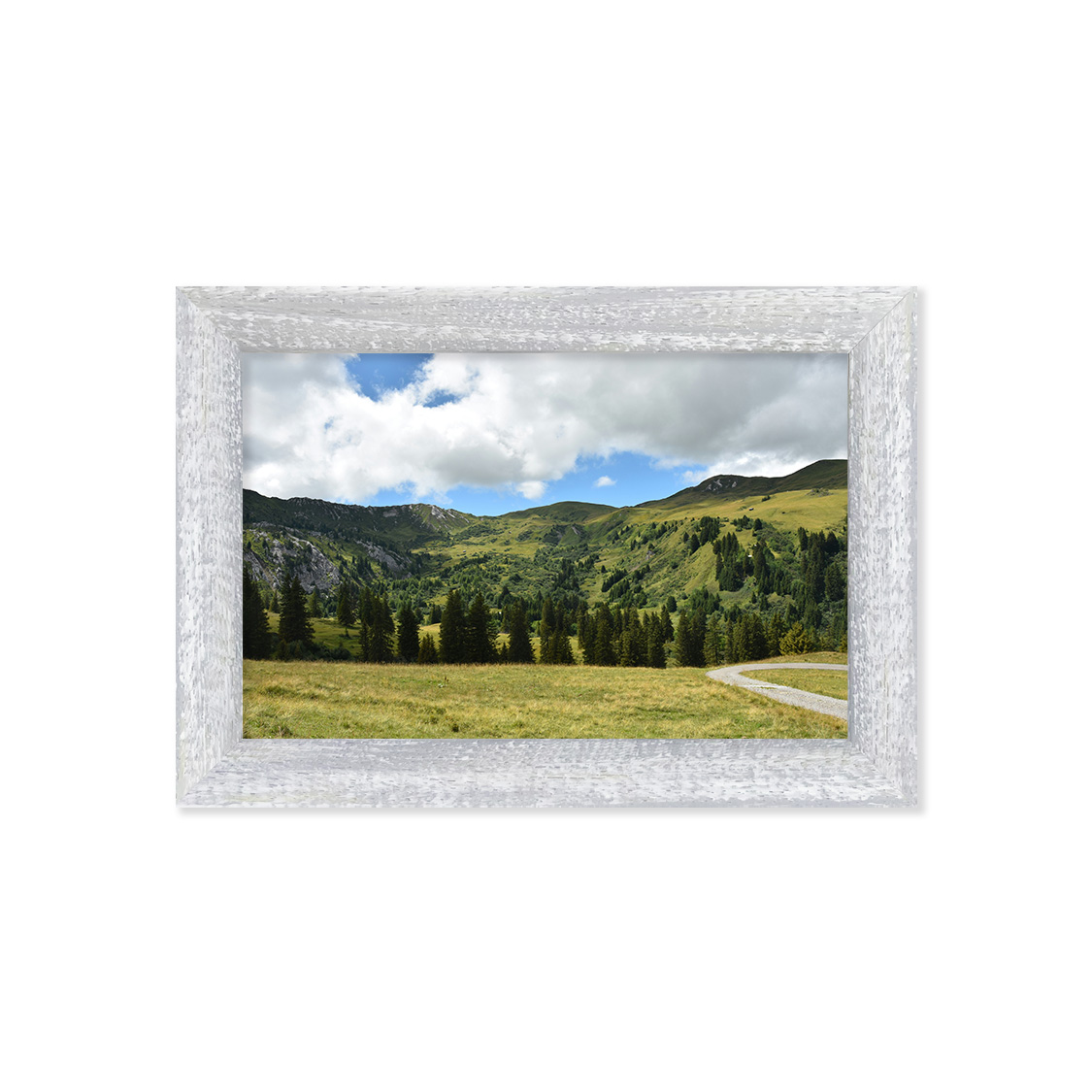 coral frame - distressed gray