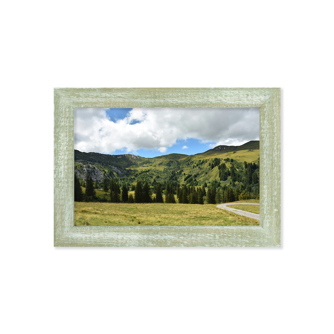 coral frame - distressed green