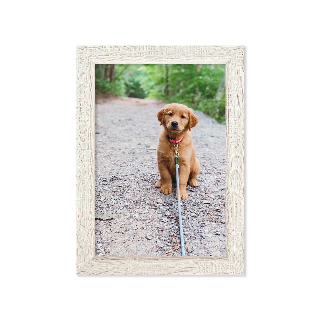 staff frame - Distressed white