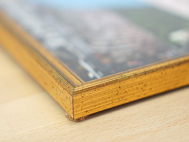 Flourish Frame