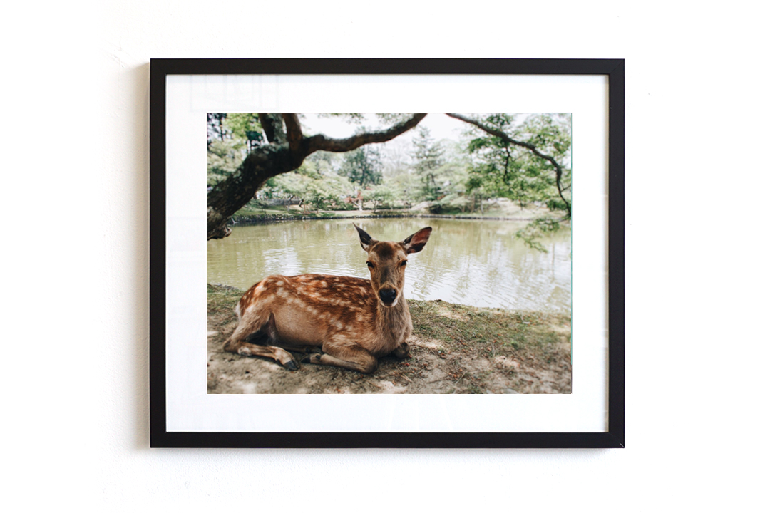 keepsake frames