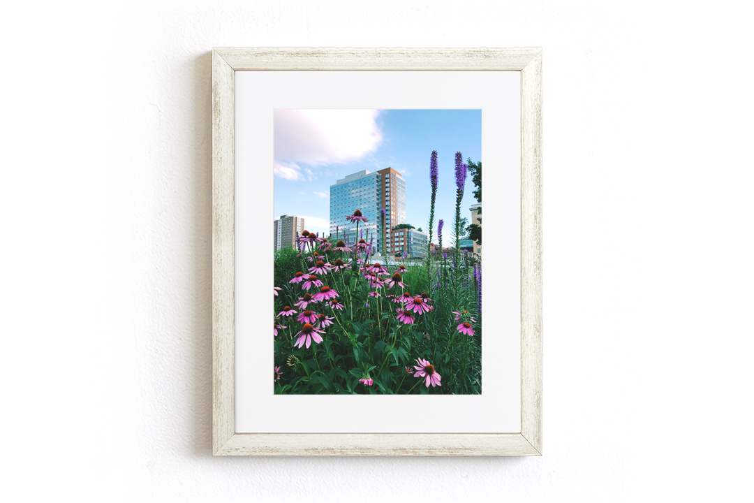 keepsake frames
