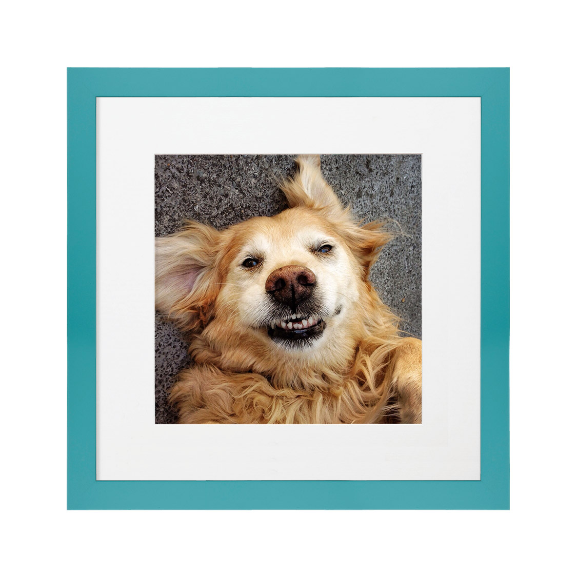 carnivale frame - teal