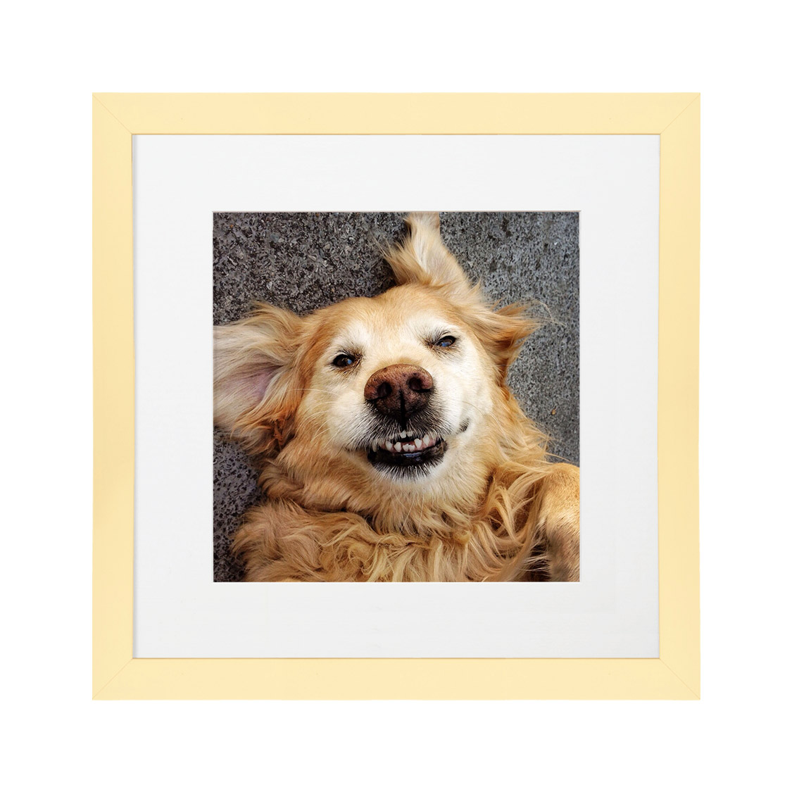 carnivale frame - yellow