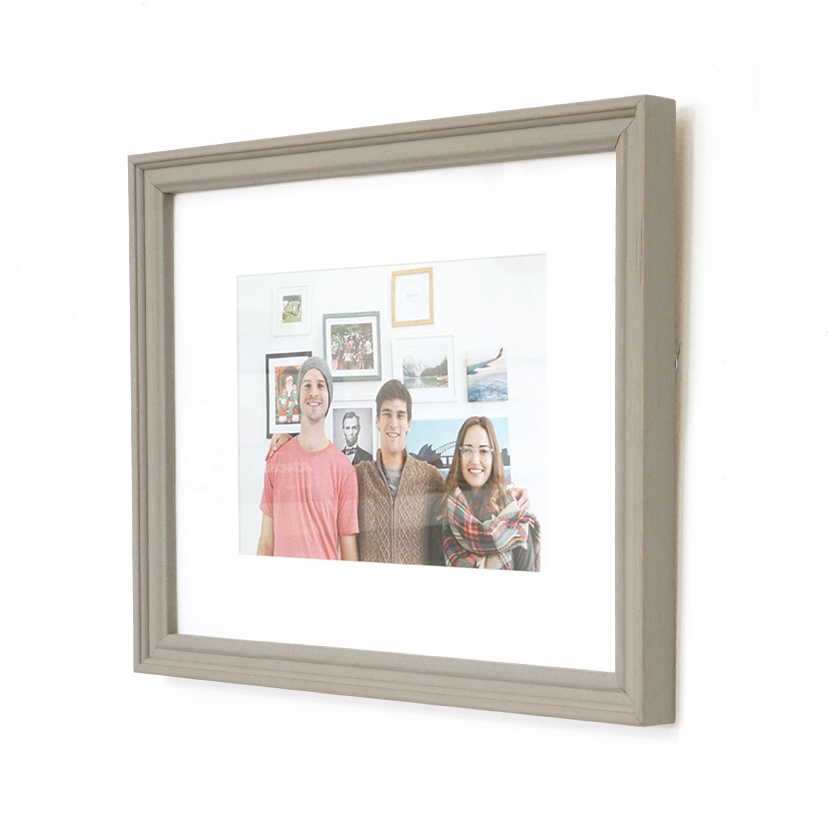 Swan Gray frame