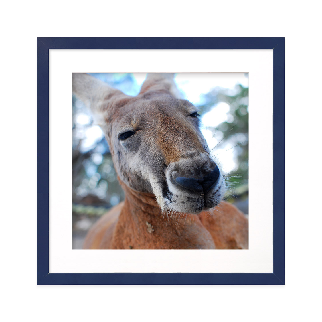 fresco frame - navy