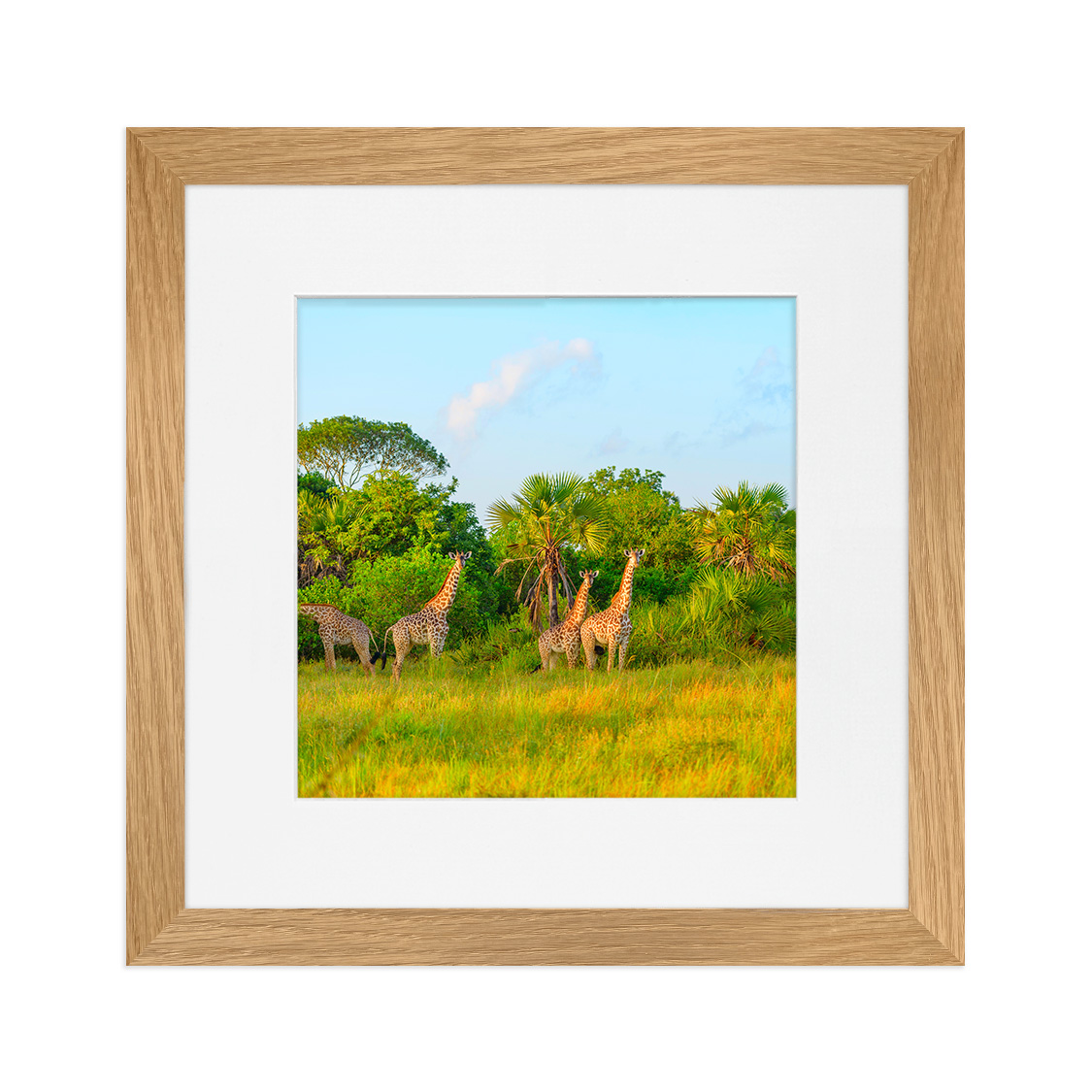 stowe frame - oak hardwood