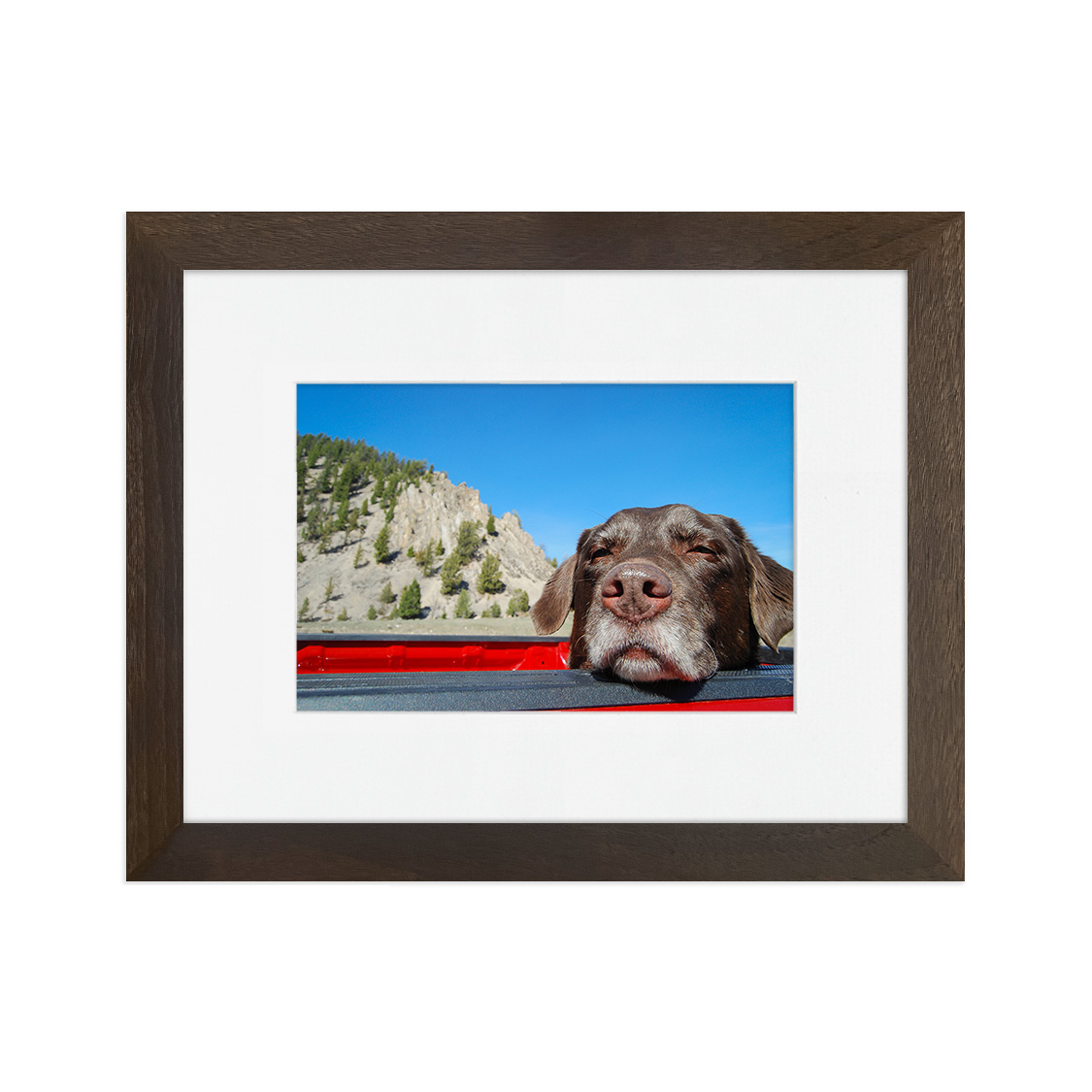 vail frame - walnut hardwood